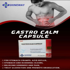 Gastrocalm (Ulcer-Care) Capsules